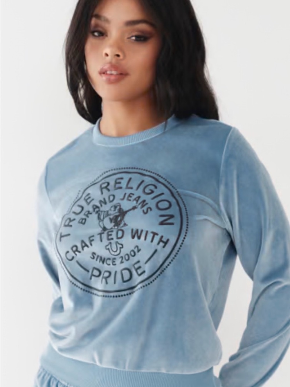 True Religion Light Blue Velvet Logo Crewneck Sweatshirt